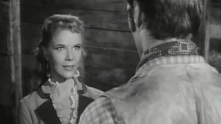 s01e04 — Incident of the Widowed Dove