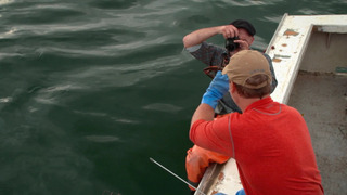 s02e11 — Shores and Shellfish