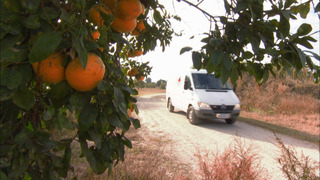 s05e02 — Greetings From the Sunshine State