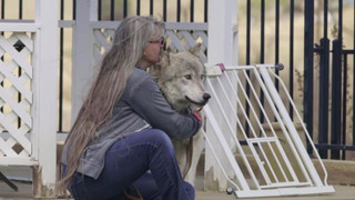 s01e04 — Wolf on the Loose