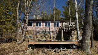 s03e02 — Paws, Present and Future