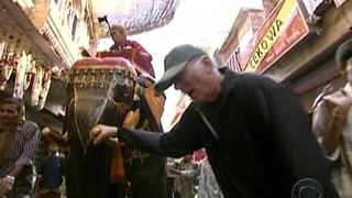 s07e09 — We Have a Bad Elephant!