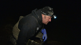 s01e02 — Eel or No Eeel