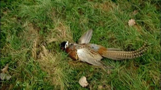 s04e01 — Sophie's Parents