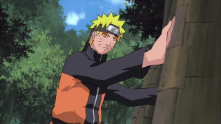 s20e23 — The Shinobi Unite