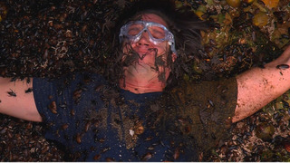 s20e20 — Episode 20