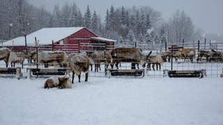 s11e02 — Grandma Knows Best