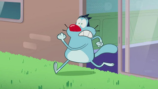 s08e55 — Cache-cache Toupie