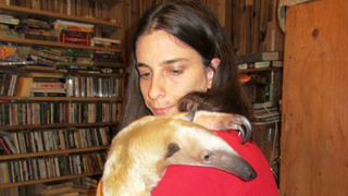 s01e05 — Mr Lizardlover and Ratty Relatives