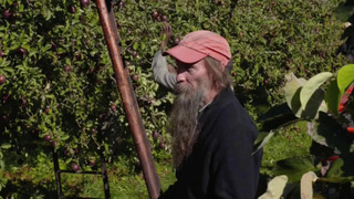 s02e08 — Past and Present