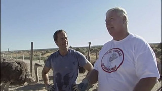 s02e02 — Ostrich Farmer