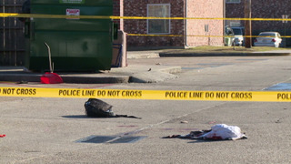 s22e17 — Freestyling