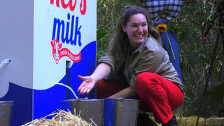 s25e16 — Episode 16