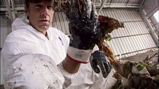 s02e16 — Garbage Pit Technician