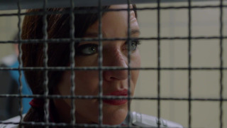 s02e05 — All the World Is Birthday Cake