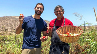 s03e26 — Harvest Adventures