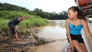 s01e01 — Lions and Bisons and Bears!