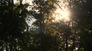 s02e02 — Into the Wild