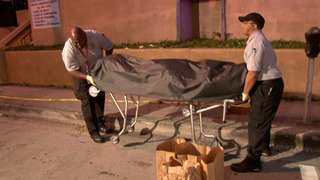 s11e31 — Stolen Lives / Family Bonds