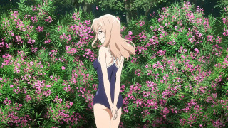 s01e10 — Beautiful Flower