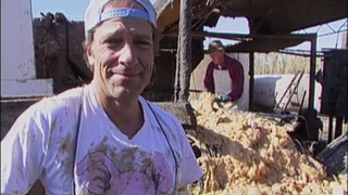 s02e14 — Casino Food Recycler