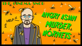 s14e22 — Angry Asian Murder Hornets