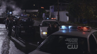 s01e05 — Turtle Undefeated