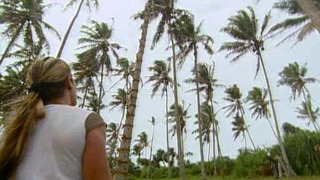 s06e11 — It Always Comes Down to the Details