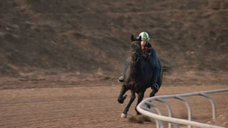 s03e13 — Junk Yard Dog