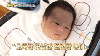 s2023e484 — Thank You For Being Born