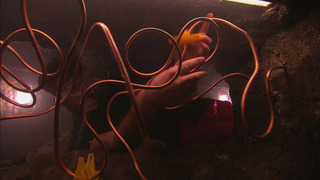 s20e05 — Episode 5