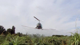 s01e10 — Purple Haze