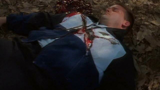 s02e17 — Cycle of Violence