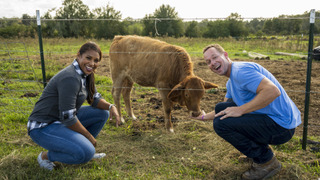 s03e02 — Forever Farmhouse