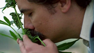 s01e09 — La Catedral