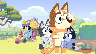 s01e36 — Backpackers