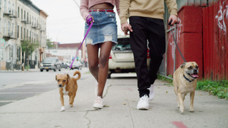 s01e08 — Welcome Bruno