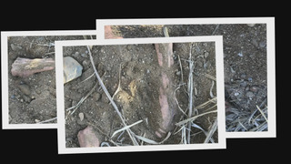 s02e01 — Guilt or Innocence