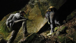 s09e04 — The Quest for El Dorado