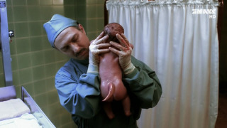 s04e20 — Small Potatoes