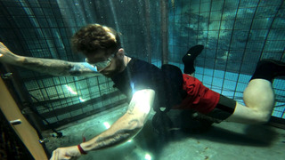 s25e10 — Episode 10