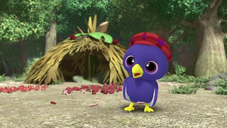 s02e09 — Bowerbird's Bower Party