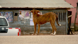 s01e02 — Hell and High Water