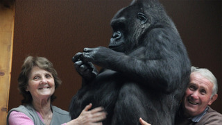 s01e02 — Mad About Monkeys