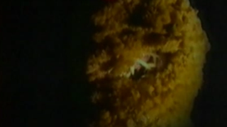 s01e14 — It Came from Beneath the Sink!