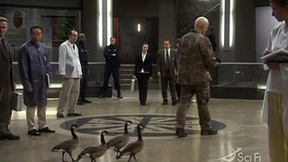 s02e05 — Duck, Duck Goose