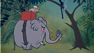 s01e11 — Sorry Safari