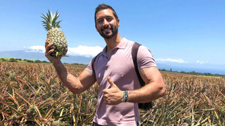 s03e21 — Hungry for More