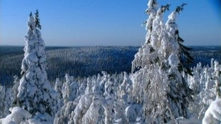 s01e06 — Primeval Valleys