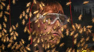 s25e08 — Episode 8